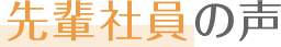 先輩社員の声